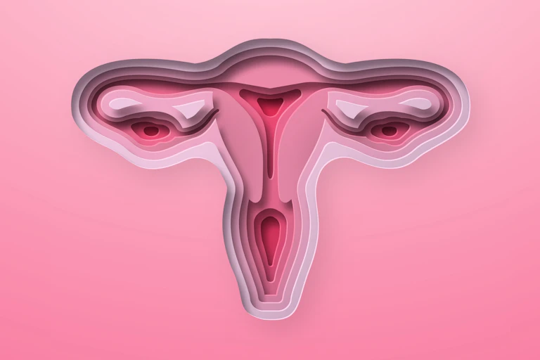 Female reproductive tract depicted as layers of pink paper