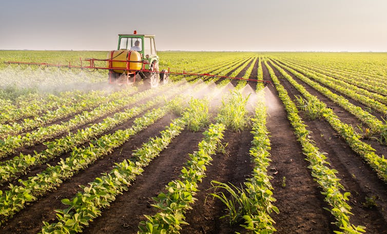 Tractor spraying pesticides on a soy field.