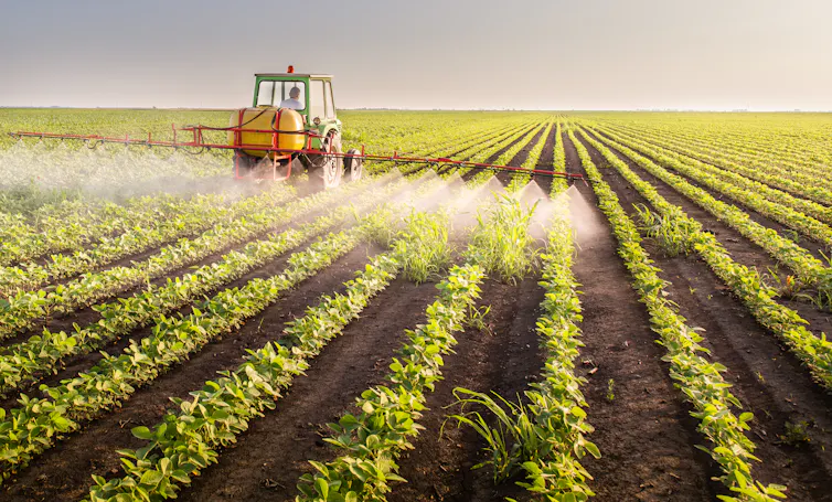 Tractor spraying pesticides on a soy field.