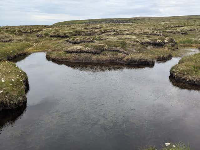 A boggy landscape with ponds.