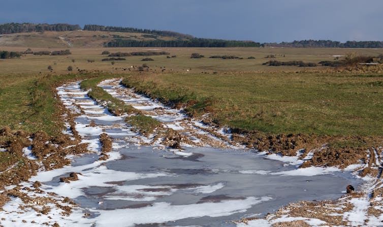Frozen puddles in tank tracks on Salisbury Plain.