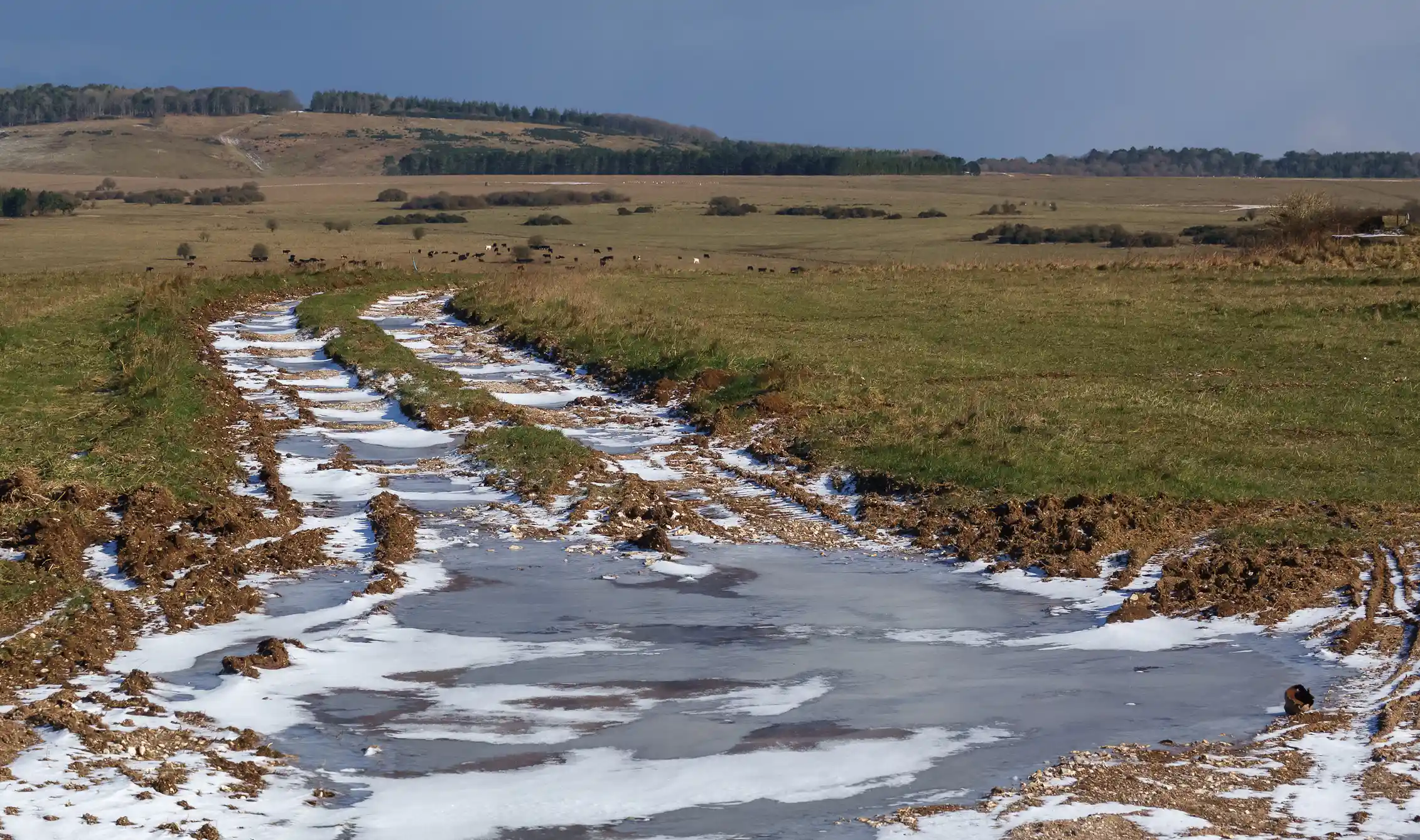 The secret world of puddles