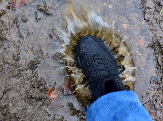 A person's feet in hiking shoes stepping into a puddle.