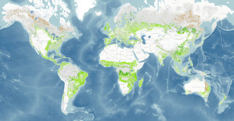 A map showing large areas with opportunities for reforestation in sub-Saharan Africa, Central and South America, Europe, Russia, India and the eastern U.S.