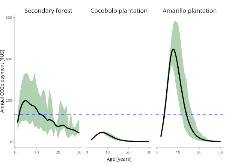 research paper on tropical forest Three charts, all rising swiftly in the first 10 years but then declining.