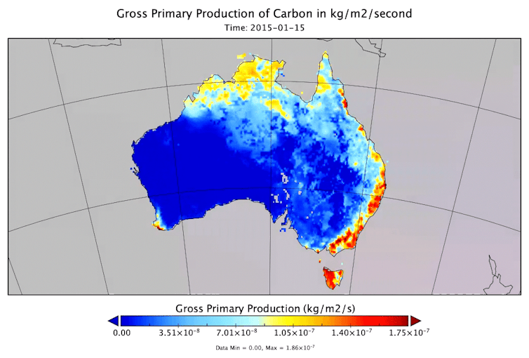 An animated map of Australia with blue, red and yellow colouring to show levels of carbon released by the ecosystem.