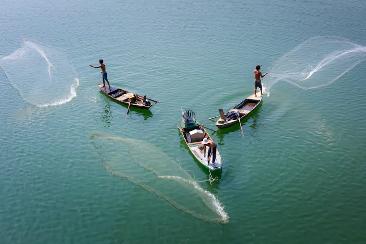 Men standing on three small boats cast nets into the ocean.