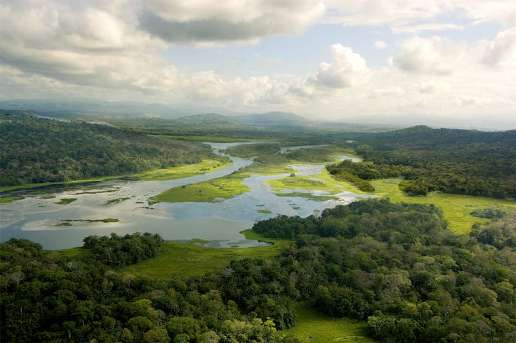 An aerial view of a river, healthy forest and sections of empty land.