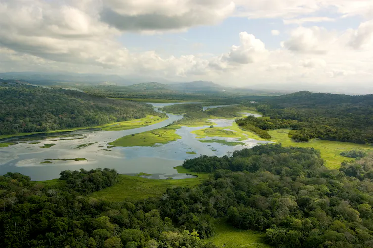 An aerial view of a river, healthy forest and sections of empty land.