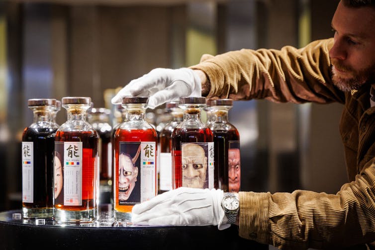 Man with white gloves arranges bottles of amber-colored whisky on a table.