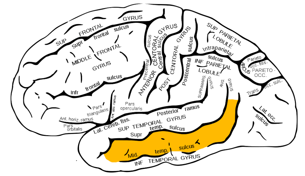 File:Black sites de.png - Wikimedia Commons