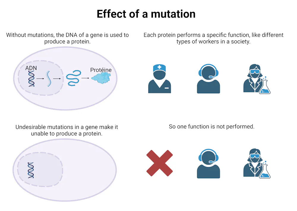 Genetics Cake Genetic diseases: How scientists are working to make DNA repair (almost ...