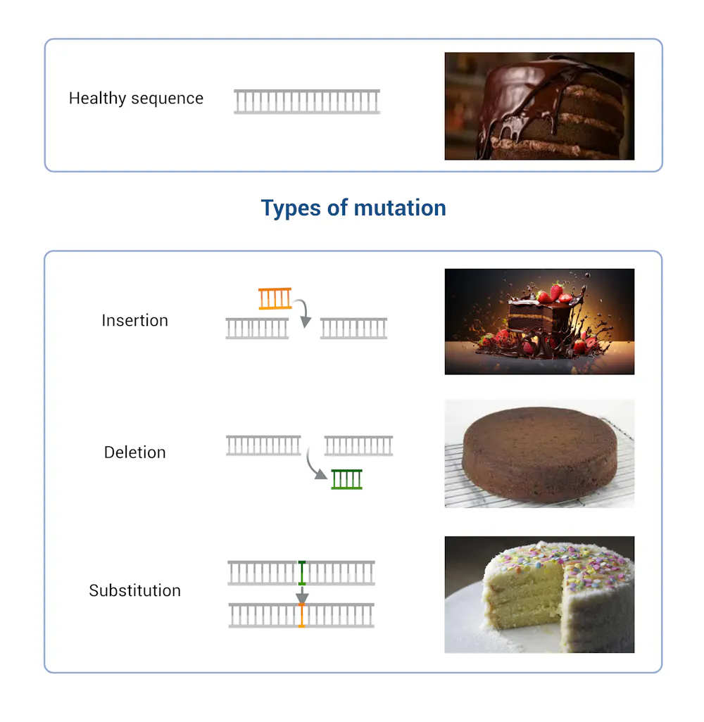 Genetics Cake Genetic diseases: How scientists are working to make DNA repair (almost ...