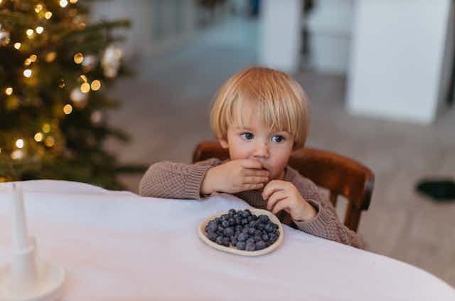 A small child eats a bowl of blueberries in front of a Christmas tree.