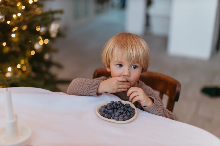 A small child eats a bowl of blueberries in front of a Christmas tree.