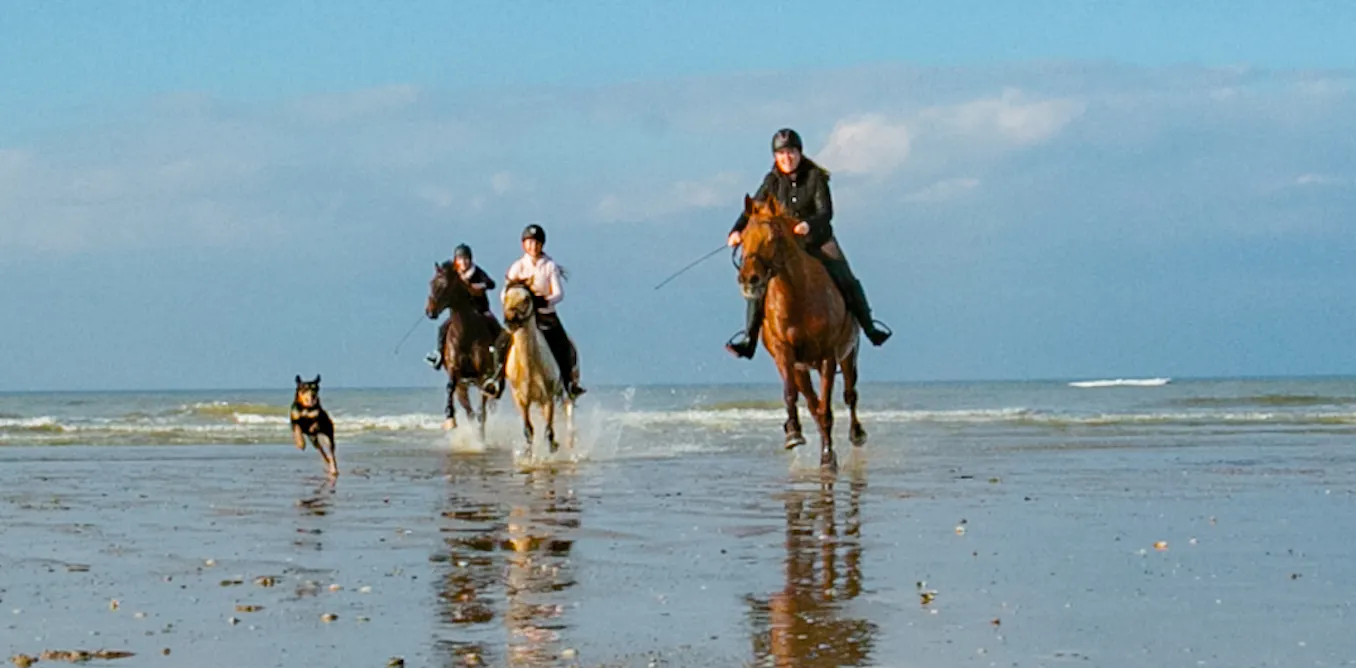 Bien-être animal, environnement, main-d’œuvre… La filière cheval française face à de multiples défis Bien-être animal, environnement, main-d’œuvre… La filière cheval française face à de multiples défis