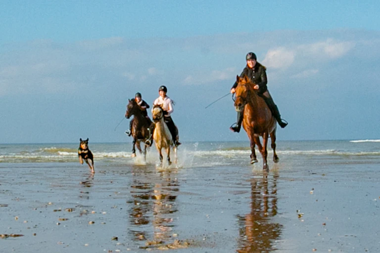 Cavalière au galop sur une plage