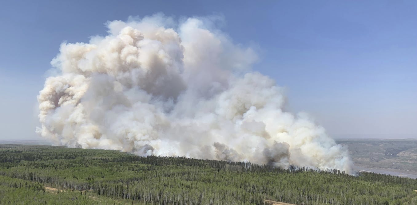 If a tree burns in Canada’s unmanaged forest, does anyone count the carbon?