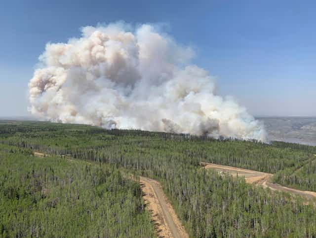 Smoke rises from a forested area intersected with dirt roads.