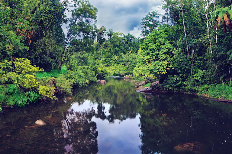 tropical river