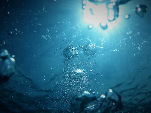des bulles remontent à la surface dans un plan d'eau
