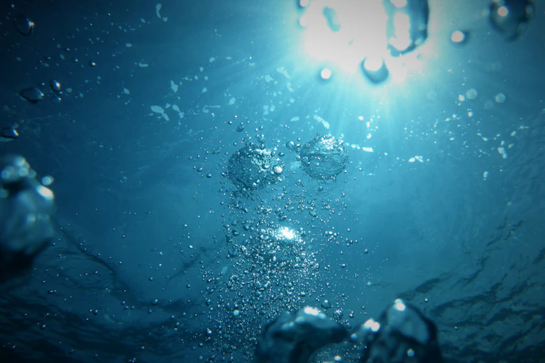 des bulles remontent à la surface dans un plan d'eau