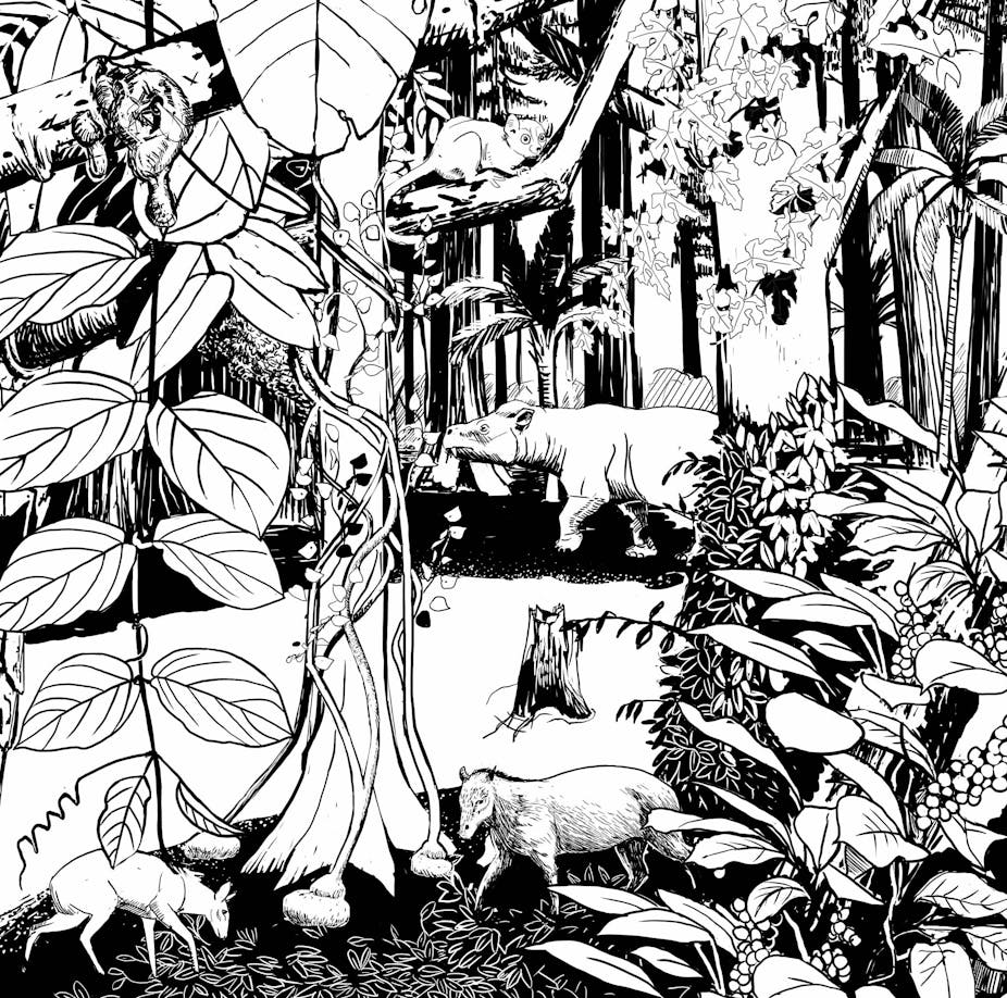 illustration d'une jungle à l'éocène