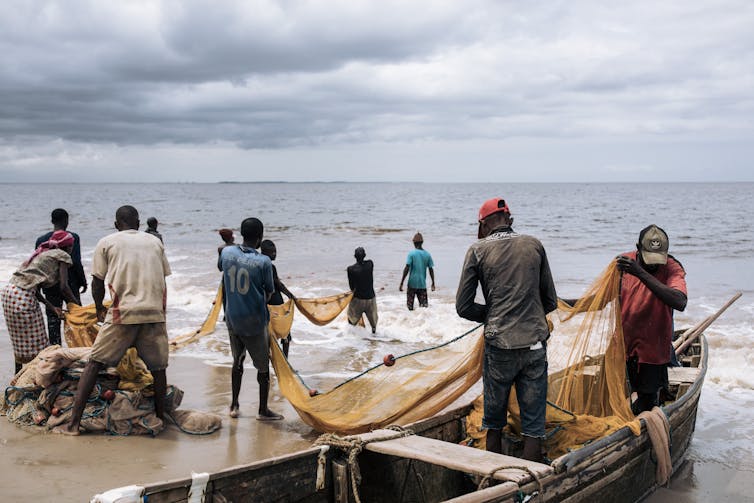 Fishermen wade into the ocean, pulling large nets.