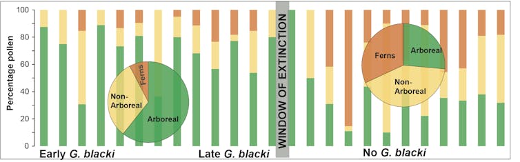 Um gráfico mostrando mais plantas arbóreas e menos samambaias antes da janela de extinção, e uma distribuição mais uniforme de plantas depois