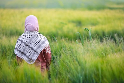Sara M. Saleh's memorable tales of exile, prejudice and resistance reflect the Palestinian experience