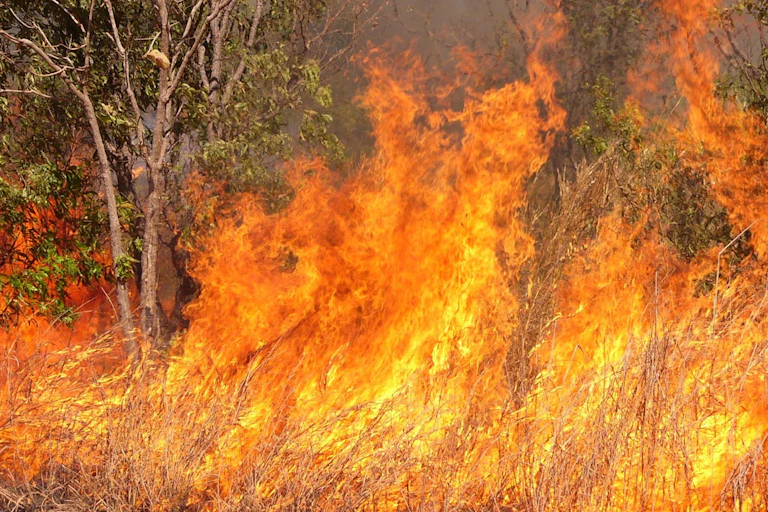 grass fire