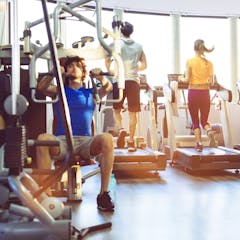 new research on muscle growth