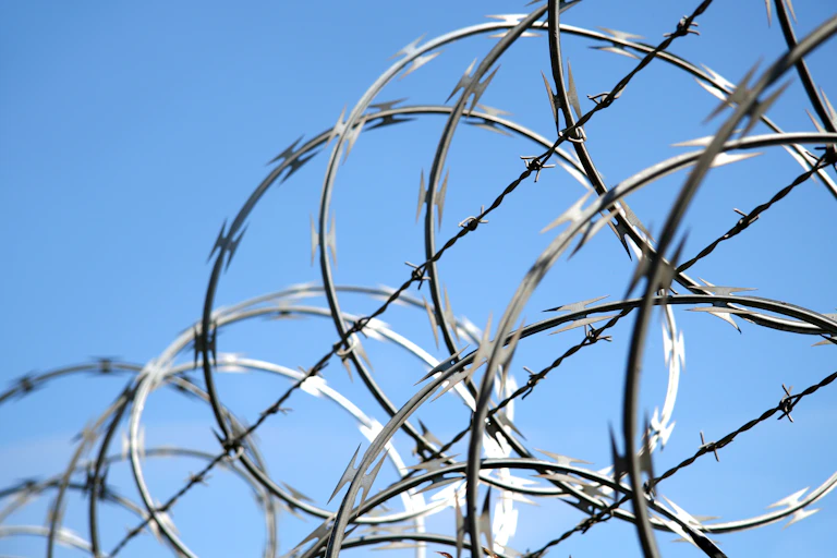 Close up photo of razor wire on a fence