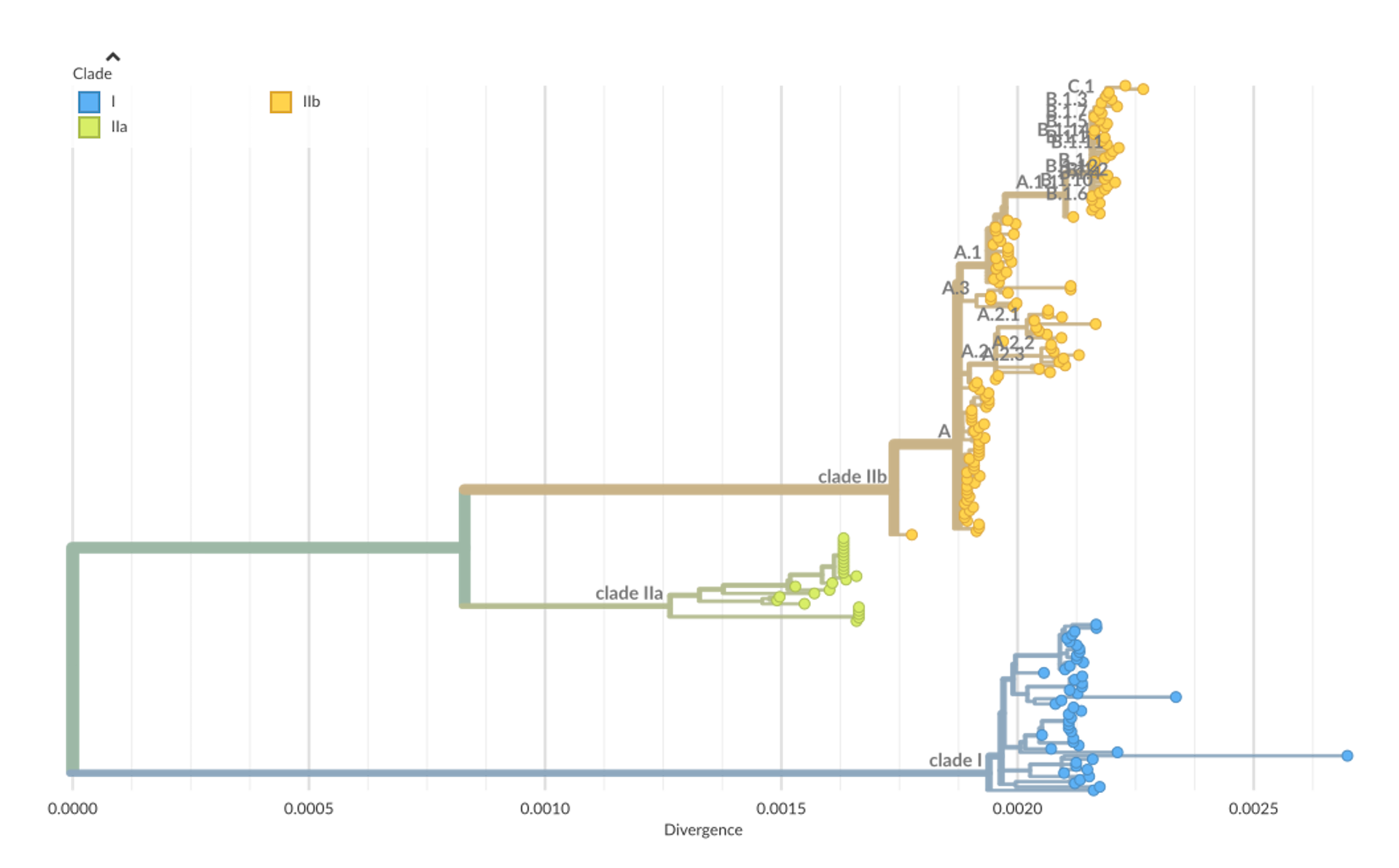 Arbre phylogénétique du virus mpox.