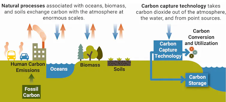 An illustration of a landscape shows how greenhouse gases and released, captured and stored in various ways, including oceans, land, forests and human activities.