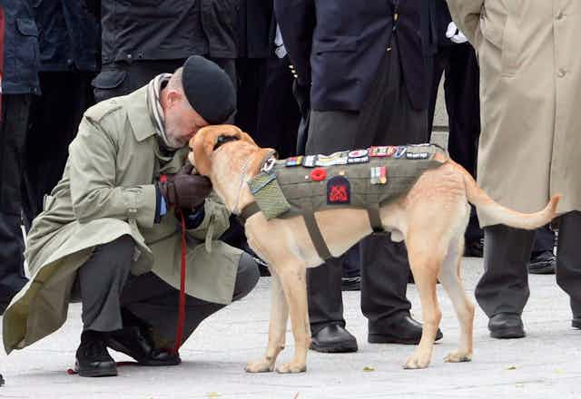A man in a black beret and tan overcoat crouches down to pet a golden labrador wearing a khaki coat with different patches and a poppy