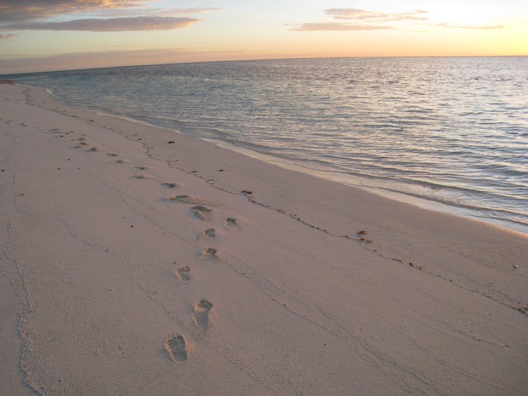 footsteps on remote beach