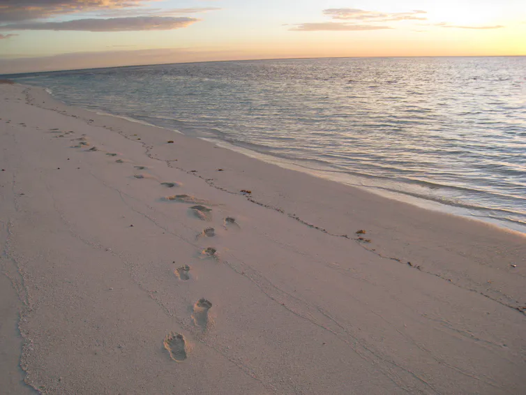footsteps on remote beach