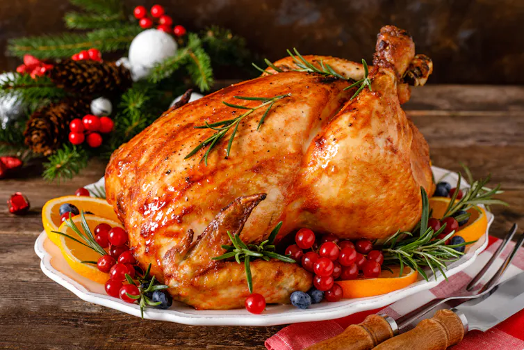 A huge crisp-skinned turkey decorated with slices of orange and holly berries and sprigs of rosemary.