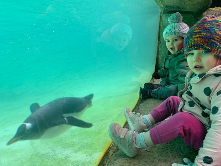 Two young girls looking at penguin swimming past.