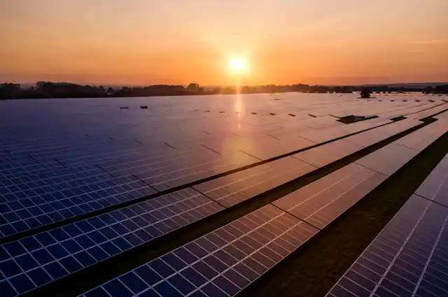 Solar farm at sunset