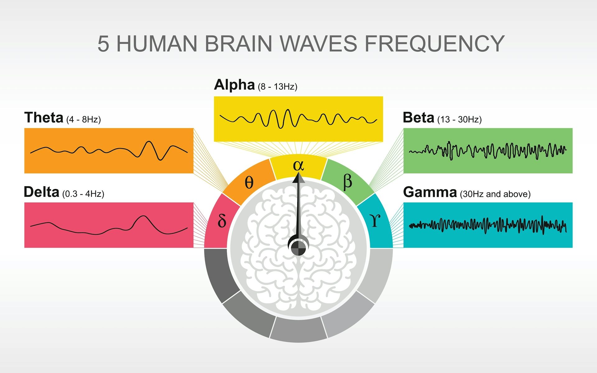 Alpha beta theta what are brain states and brain waves And can