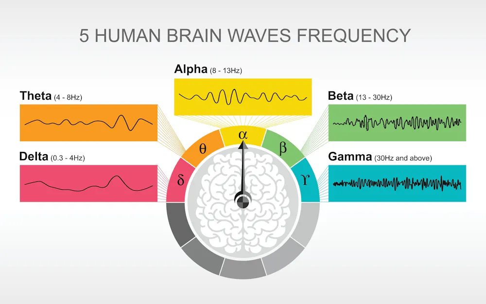Alpha Beta Theta What Are Brain States And Brain Waves And Can We Alpha Beta Theta What Are Brain States And Brain Waves And Can We