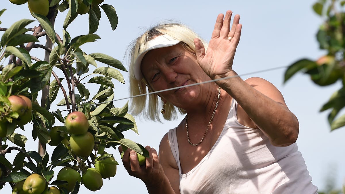 Hard Evidence Are Migrants Good For The Economy