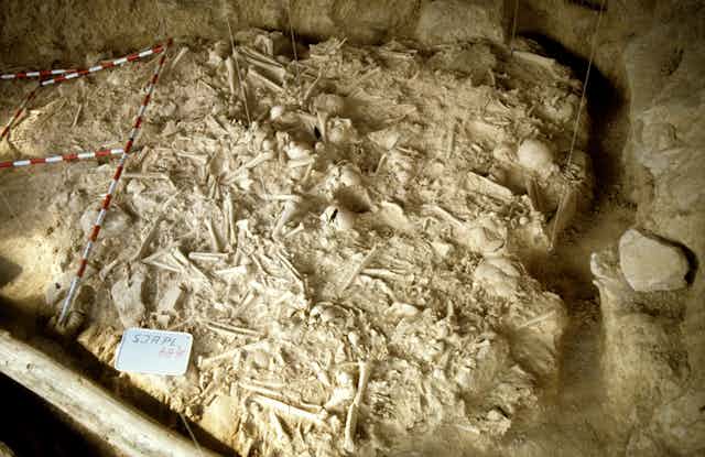 Archaeological remains of bones and skulls.