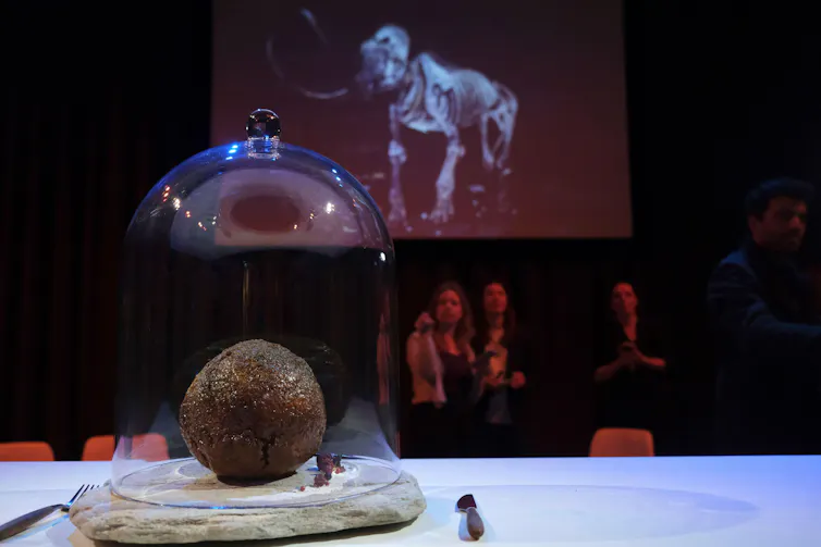 Meatball displayed in protective glass cover, mammoth image in background