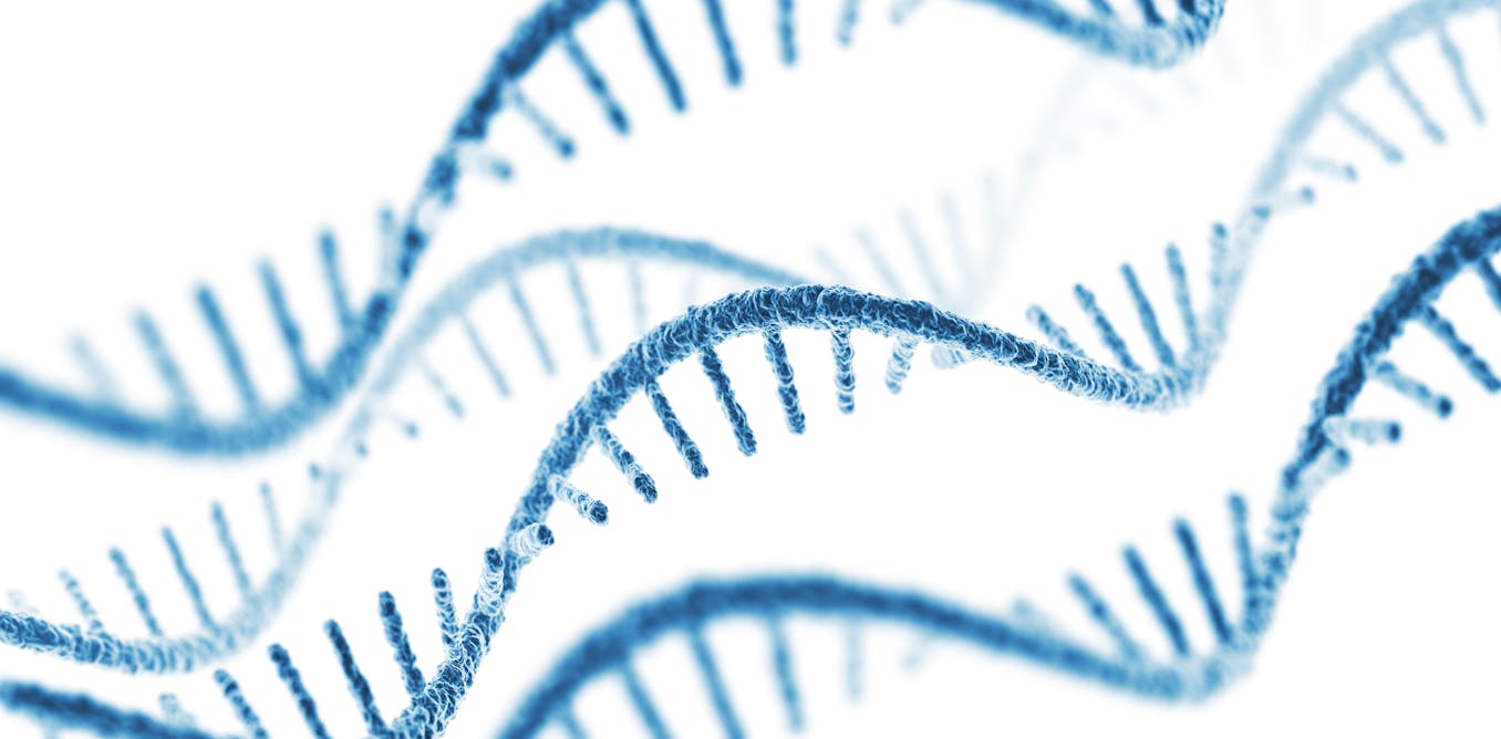 Drugs of the future will be easier and faster to make, thanks to mRNA – after researchers work out a few remaining kinks Drugs of the future will be easier and faster to make, thanks to mRNA – after researchers work out a few remaining kinks