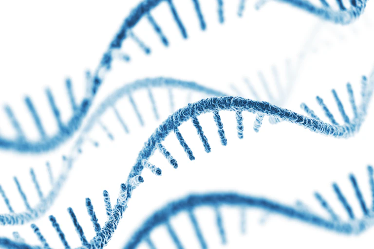 Illustration of four blue RNA strands floating across a white background