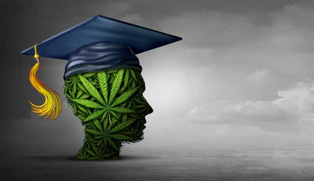  A dark blue graduation cap sits atop figure of a human head made of marijuana leaves. The cap has a swinging tassel that is gold and maroon.