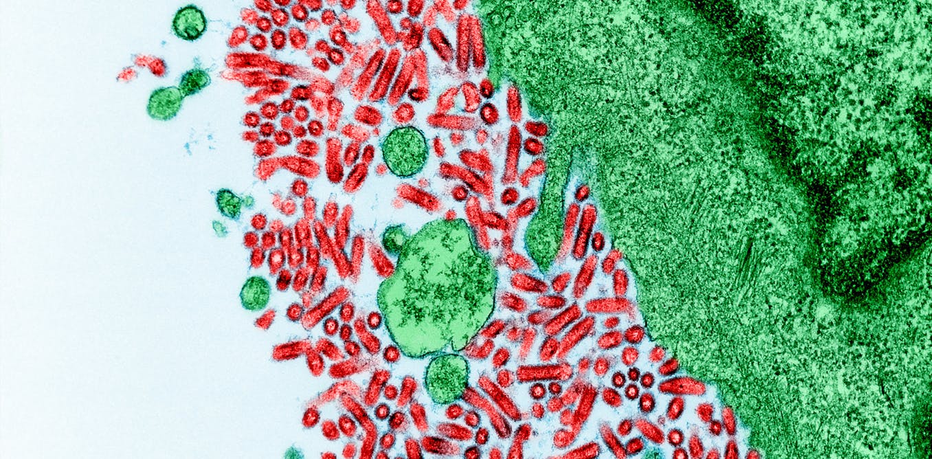 Rabies is an ancient, unpredictable and potentially fatal disease − two rabies researchers explain how to protect yourself Rabies is an ancient, unpredictable and potentially fatal disease − two rabies researchers explain how to protect yourself